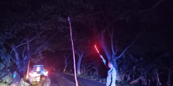 Tengah Malam, Polsek Juntinyuat Evakuasi Pohon Tumbang Yang Menimpa Kabel Listrik
