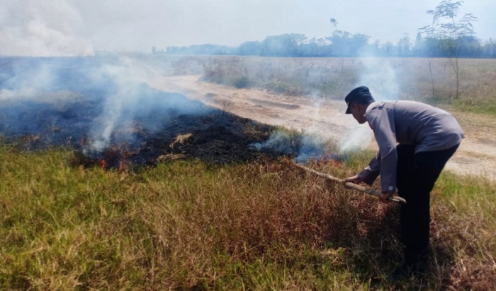 Kapolsek Bulakamba
IPTU IBNU SETIYADI, S.H., M.M. Terjun langsung Memadamkan Kabakaran Lahan Persawaan