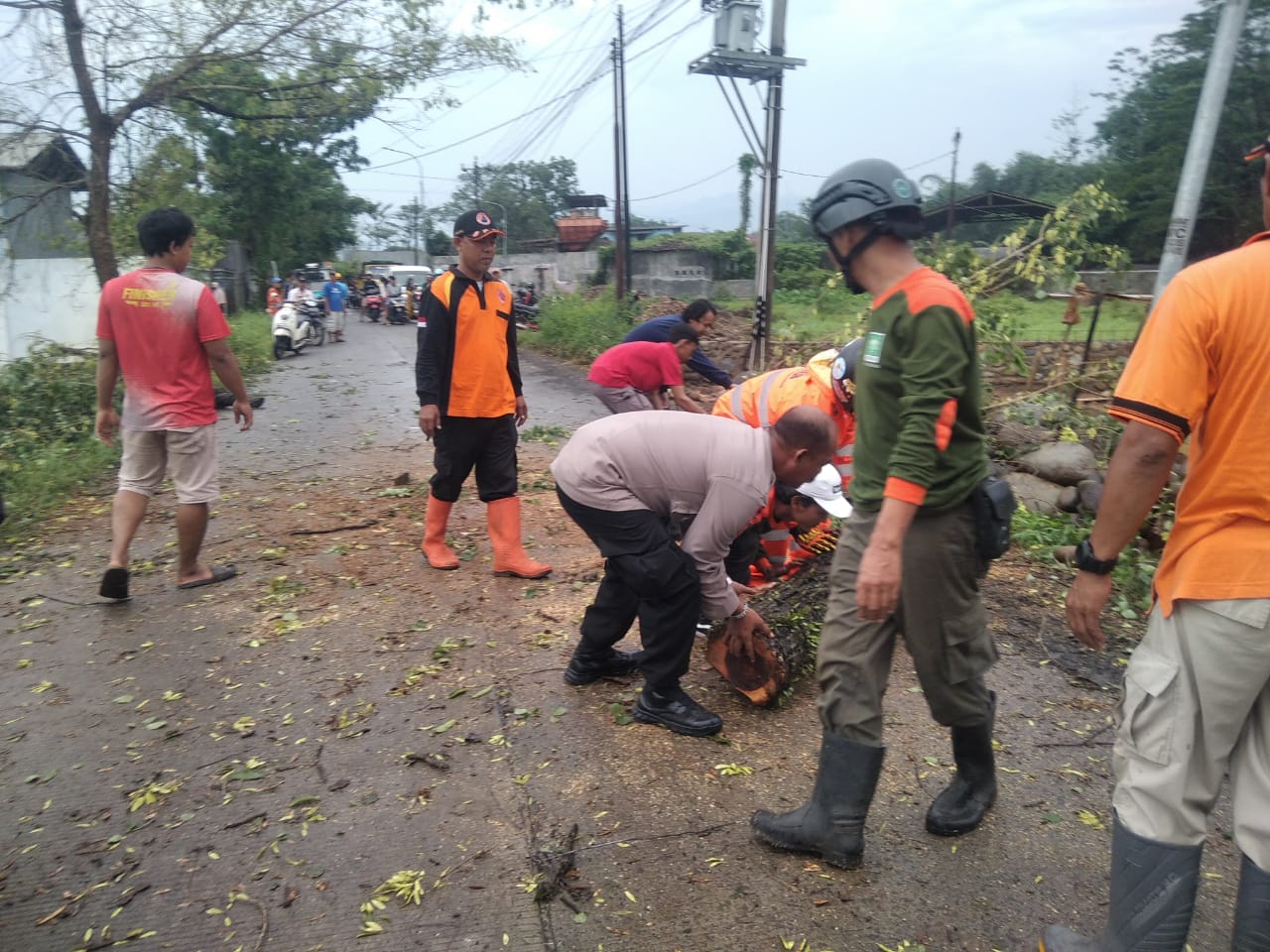 Bhabinkamtibmas Bersama BPBD dan Warga Evakuasi Pohon Tumbang