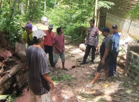 Polsek Pamarican Polres Ciamis Datangi TKP Penggilingan Padi yang Tertimpa Pohon di Desa Mekarmulya