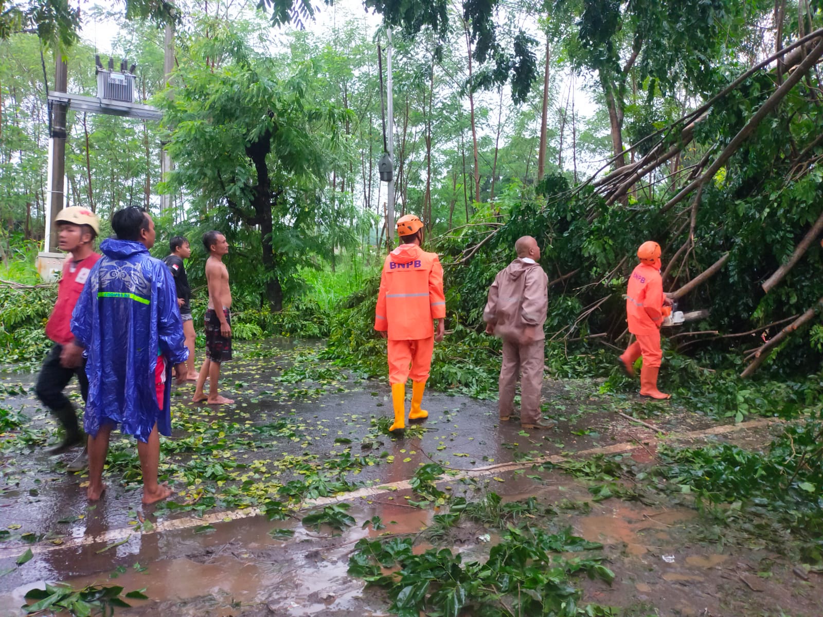 Pohon Tumbang Tutup Akses Jalan, Polisi dan Instansi Terkait Gerak Cepat Lakukan Evakuasi
