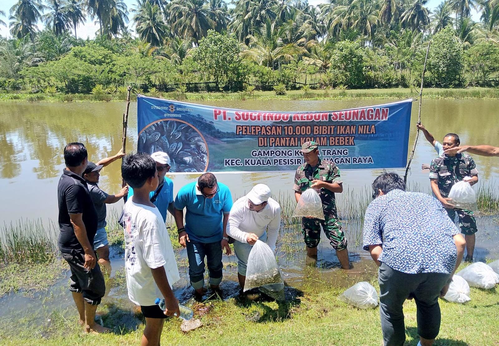 PT Socfindo Kebun Seunagan Laksanakan Kegiatan Pelepasan 10.000 Bibit Ikan di Desa Kuala Trang