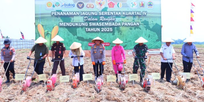 Penanaman Jagung Serentak Kuartal IV Digelar di Pekalongan, Kapolres: Wujud Nyata Dukung Swasembada Pangan 2025