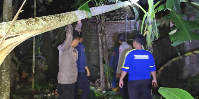 Polri Siaga Bencana, Polsek Pamarican Polres Ciamis Bantu Evakuasi Pohon Tumbang ke Rumah Warga